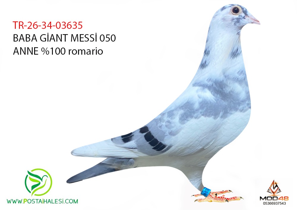 TR-26-34-03635 GİANT MESSİ 050 %100 ROMARIO