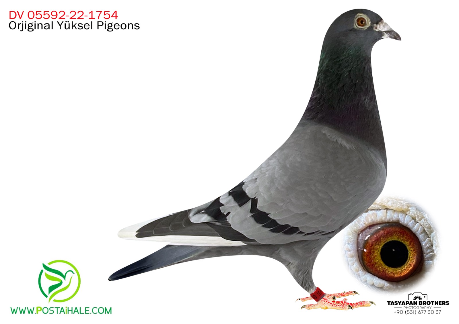 DV-05592-22-1754 BARCELONA-JWİLLEN