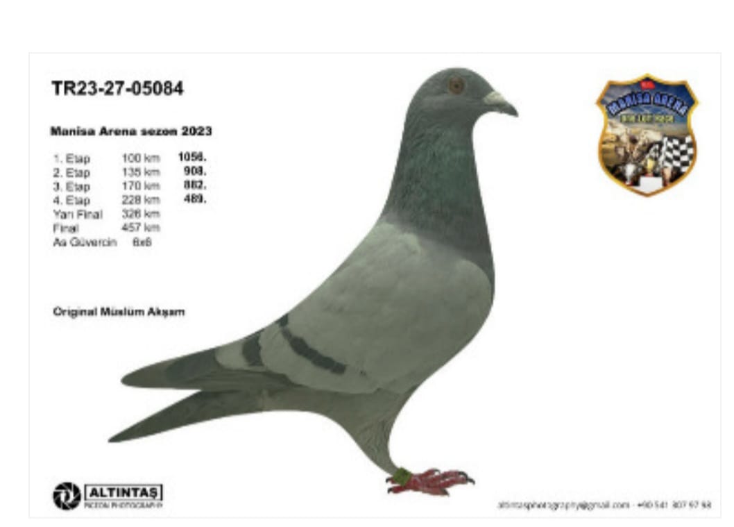 TR-23-27-05084 050-ROMARİO