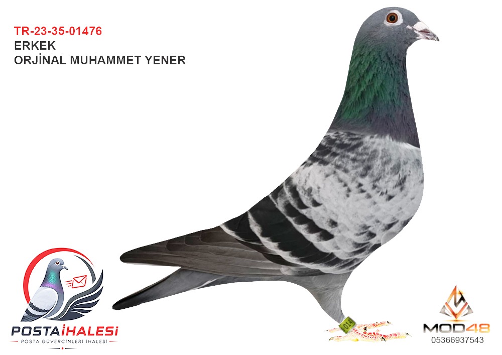 TR-23-35-01476 HATAY POSTA 640 KM 39