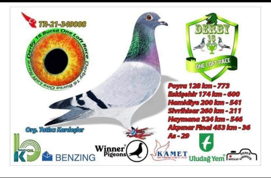 TR-21-349008 155 POLİS İMDATIN KIZI 453 KM 36 ACE 29