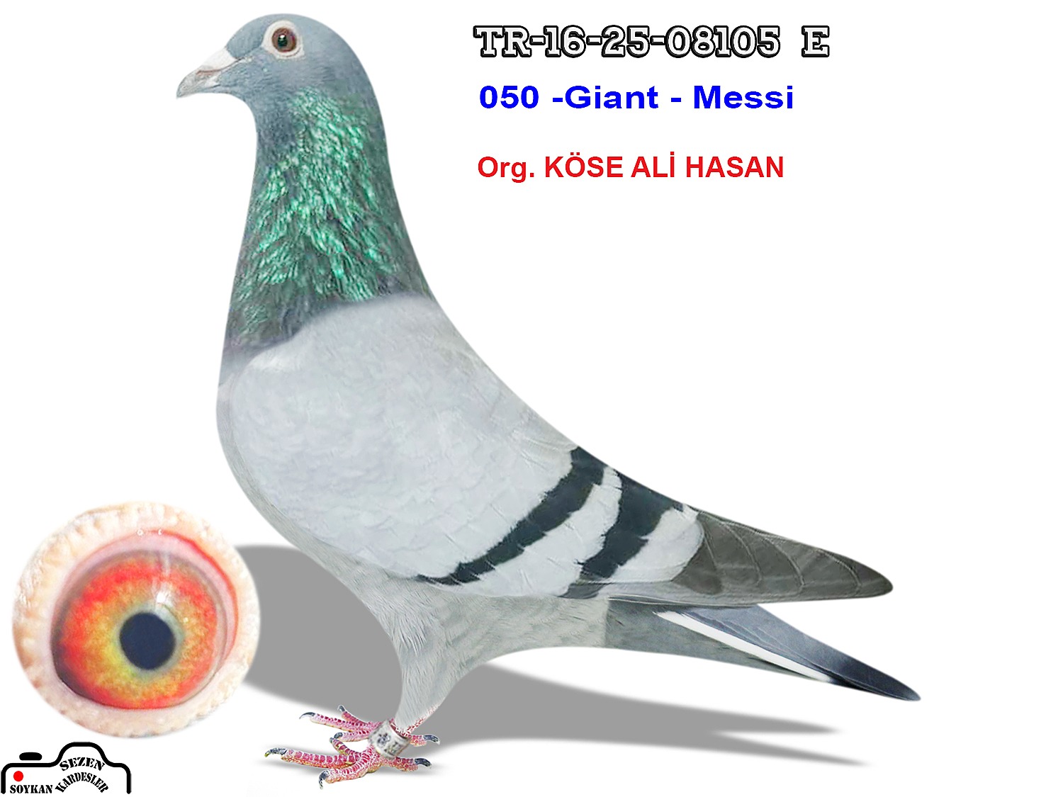TR-16-25-08105 050&MESSİ&STEF