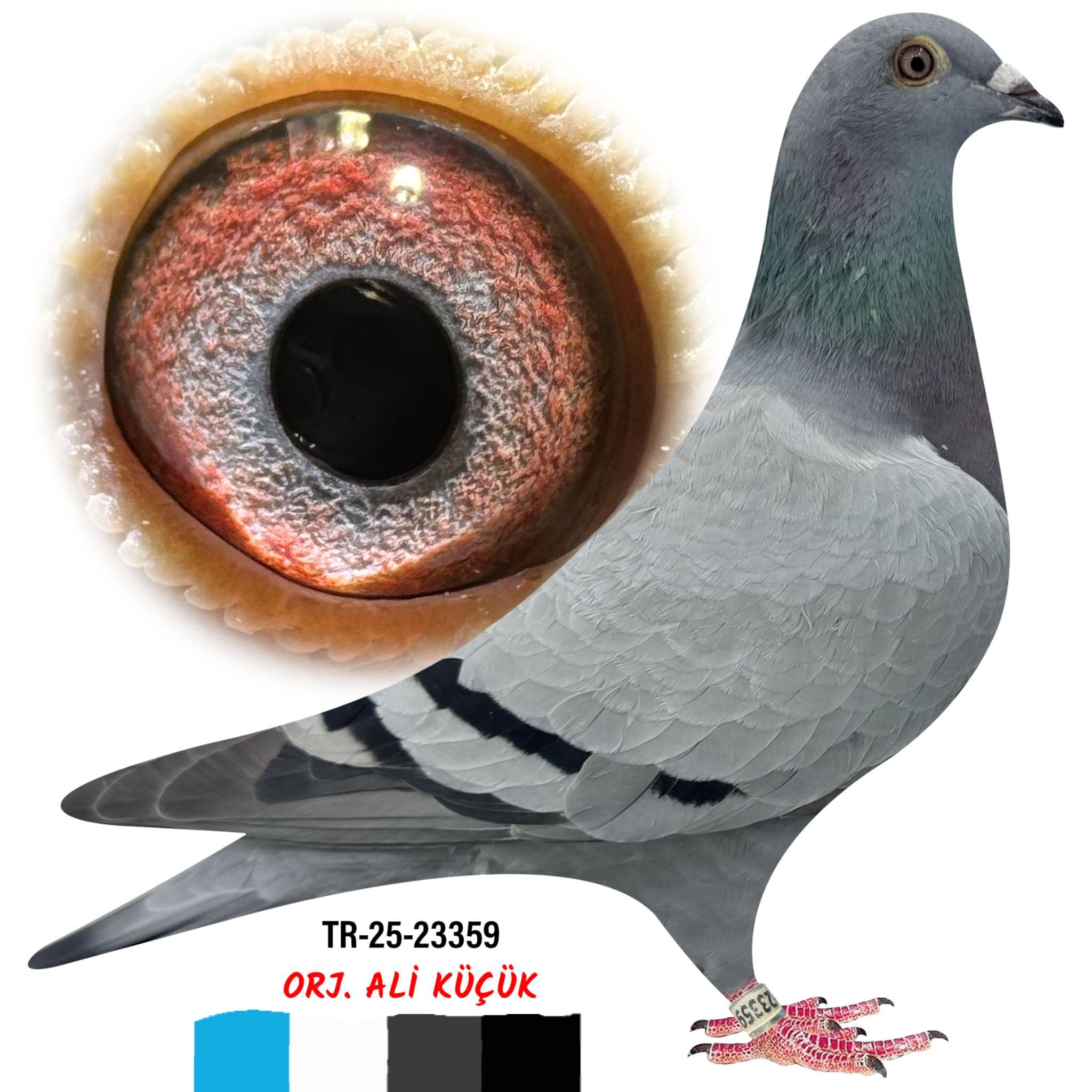 TR-25-23359 ALİ KÜÇÜK MESSİ EDİP SAHABAN 105