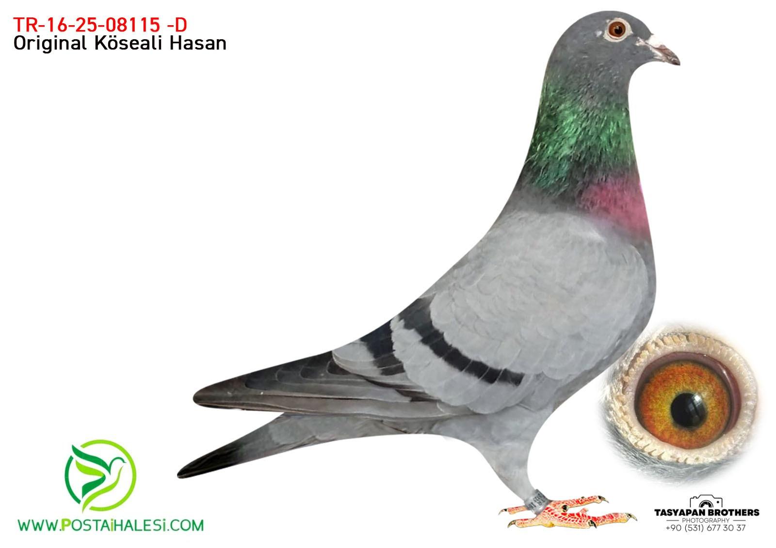 TR-16-25-08115  050-GİANT-MESSİ