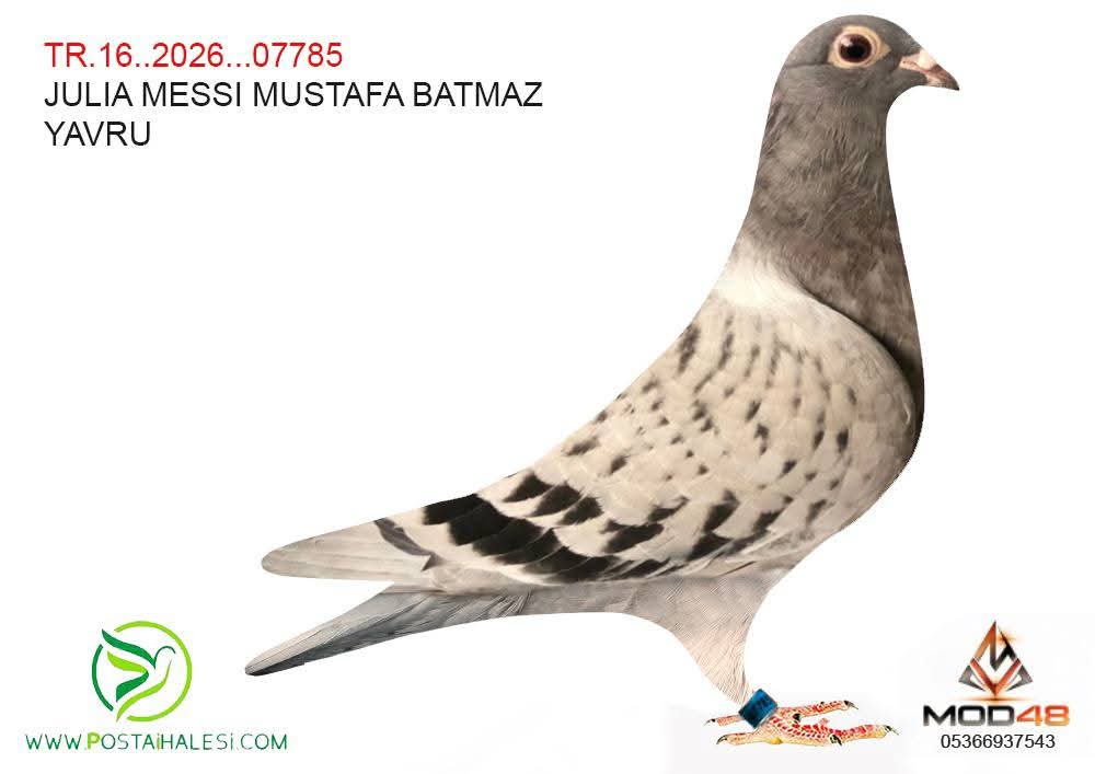 TR-16-26-07785  MESSİ-JULİA