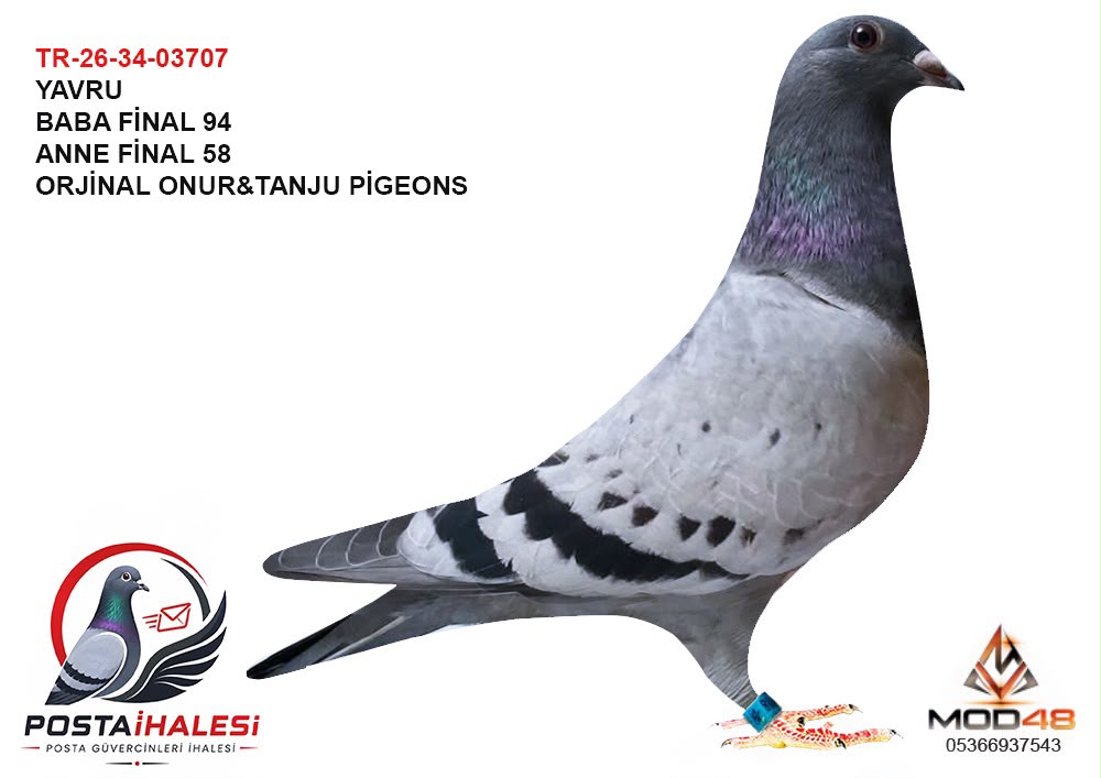 TR-26-34-03707 BABASI FİNAL 94 ANNESİ FİNAL 58