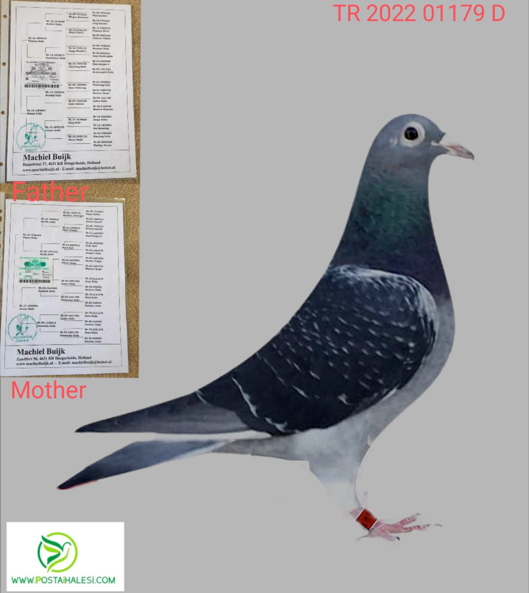 TR-22-01179 %100 JAN ARDEN