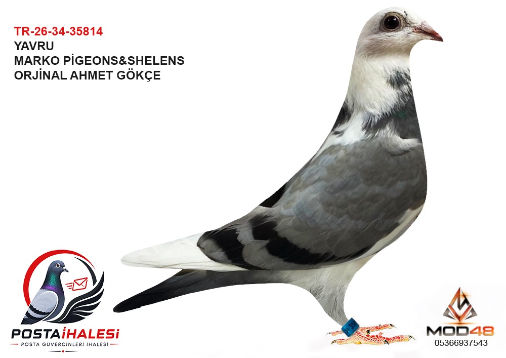 TR-26-34-35814 AHMET GÖKÇE
