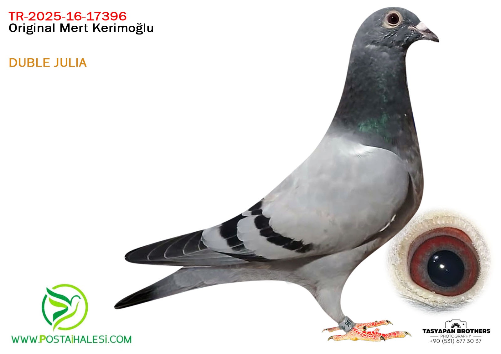 TR-2025-16-17396 DUBLE JULİA TORUNU