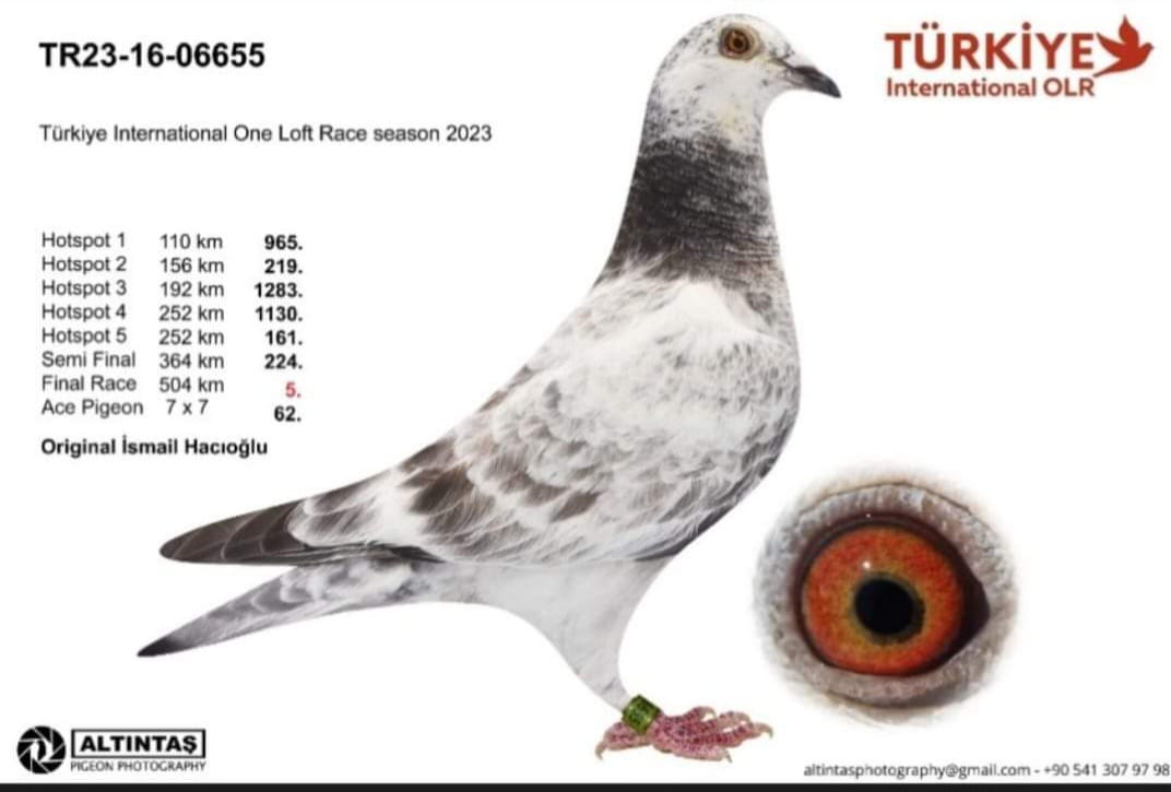 TR-23-16-06655_ 504 KM FİNAL 5 SUNAY NİYAZİ  STAR 508_A.KLAS