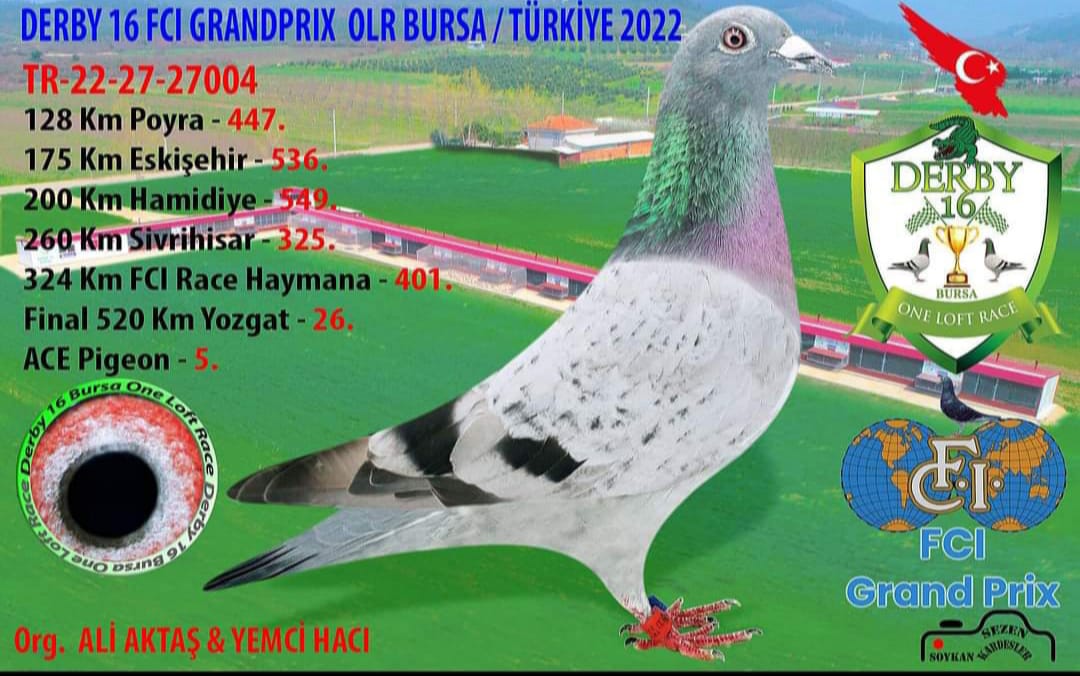 TR 22-27-27004 520 KM  26 ACE 5 ALİ AKTAŞ